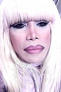 Milano Trans Nicole Vip Venturiny 353 35 38 868 foto selfie 889