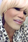 Milano Trans Nicole Vip Venturiny 353 35 38 868 foto selfie 875
