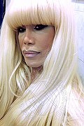Milano Trans Nicole Vip Venturiny 353 35 38 868 foto selfie 851