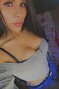 Cinisello Balsamo Trans Angell 333 92 42 519 foto selfie 25
