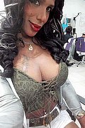 Pescara Trans Anaconda Grande 327 77 95 720 foto selfie 14