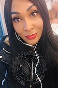 Gallarate Trans Thalita Top Xxxl 388 48 85 062 foto selfie 9