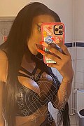 D�sseldorf Trans Adhara  004915212409124 foto selfie 7