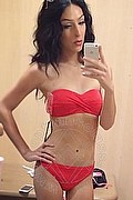 M�nster Trans Losy Joens  004915770947259 foto selfie 13