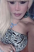 Milano Trans Nicole Vip Venturiny 353 35 38 868 foto selfie 758