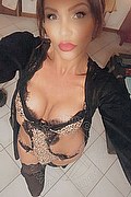 Treviso Trans Valeria 338 87 18 849 foto selfie 135