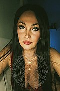 Legnano Trans Dayane Callegare Pornostar 320 31 87 804 foto selfie 9