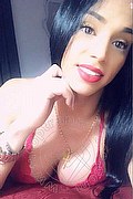 Gallarate Trans Alessandre Xxii 331 78 52 006 foto selfie 13