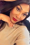 Gallarate Trans Thalita Top Xxxl 388 48 85 062 foto selfie 1