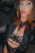 Treviso Trans Valeria 338 87 18 849 foto selfie 113