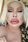 Cassano Delle Murge Trans Monique 320 18 30 286 foto selfie 57