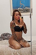 Rimini Trans Alessandra Toledo Pornostar 339 67 43 933 foto selfie 73
