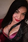 Prato Trans Tain� Oliveira 328 53 82 487 foto selfie 148