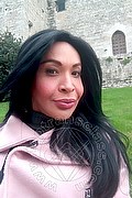 Prato Trans Tain� Oliveira 328 53 82 487 foto selfie 140
