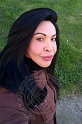 Prato Trans Tain� Oliveira 328 53 82 487 foto selfie 145