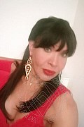 Prato Trans Tain� Oliveira 328 53 82 487 foto selfie 136