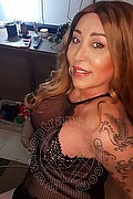 Gallarate Trans Alessandra 329 17 69 850 foto selfie 4