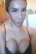 Vicenza Trans Joy Seraphim 327 90 07 310 foto selfie 17