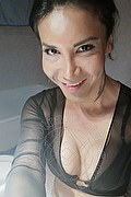 Vicenza Trans Joy Seraphim 327 90 07 310 foto selfie 15