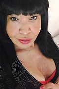 Prato Trans Tain� Oliveira 328 53 82 487 foto selfie 103