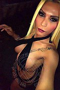 Roma Trans Cinzia Brasiliana 327 78 77 595 foto selfie 11