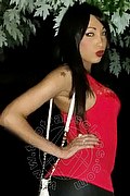 Reggio Calabria Trans Desirre 392 28 32 689 foto selfie 24