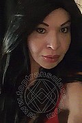 Prato Trans Tain� Oliveira 328 53 82 487 foto selfie 94
