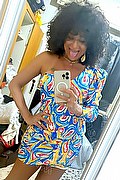Gallarate Trans Daysy 339 33 89 602 foto selfie 6