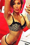  Trans Giselle Oliveira 388 16 17 895 foto selfie 40