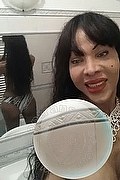 Cinisello Balsamo Trans Deborah Ts 366 34 16 488 foto selfie 63