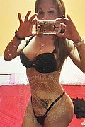  Trans Brandy 388 38 60 479 foto selfie 77