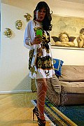 Faenza Trans Vanessa Midori 347 54 51 376 foto selfie 63