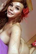 Rimini Trans Angelica Pornostar 347 48 58 254 foto selfie 57