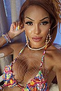 Frosinone Trans Wanessa Armani 351 80 69 231 foto selfie 80