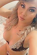 Viareggio Trans Dafne Pornostar 380 14 22 205 foto selfie 42