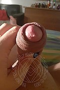 Chiavari Trans Maite De L'Enclos 329 83 37 093 foto selfie 55