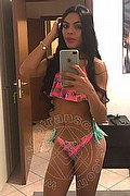 Alba Adriatica Trans Roberta Maliziosa 391 16 14 049 foto selfie 19