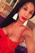 Milano Trans Mikaella Pimentell Pornostar 329 34 10 689 foto selfie 70