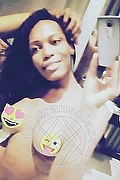 Bologna Trans Naomy Xl 329 01 67 932 foto selfie 56