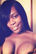 Bologna Trans Naomy Xl 329 01 67 932 foto selfie 29