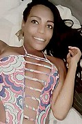 Bologna Trans Naomy Xl 329 01 67 932 foto selfie 28