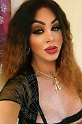 Roma Trans Rosa Xxxl 328 74 36 345 foto selfie 28