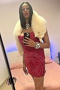 Genova Trans Miranda Pinocchio Pornostar 329 44 49 590 foto selfie 5