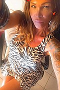 Treviso Trans Valeria 338 87 18 849 foto selfie 384