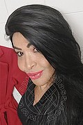Prato Trans Tain� Oliveira 328 53 82 487 foto selfie 81