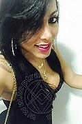 San Paolo Trans Aylla Gattina Pornostar 347 08 83 203 foto selfie 36