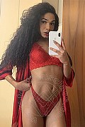 Novara Trans Miele 331 78 08 280 foto selfie 75