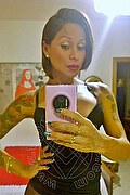 Rimini Trans Alessandra Toledo Pornostar 339 67 43 933 foto selfie 283