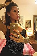 Rimini Trans Alessandra Toledo Pornostar 339 67 43 933 foto selfie 238