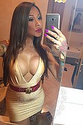 Rimini Trans Alessandra Toledo Pornostar 339 67 43 933 foto selfie 171